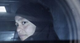 Zeinab Ahmad, 31, (pictured) has applied for bail in the Melbourne Magistrates' Court