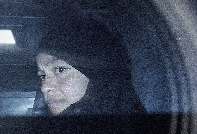 Zeinab Ahmad, 31, (pictured) has applied for bail in the Melbourne Magistrates' Court