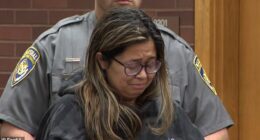 Dominique Harrison, 28, appeared in court on Monday as she faces charges over the murder of her newborn baby son who was found in a dumpster in 2018