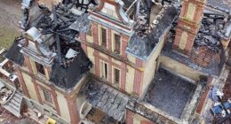 Dimitri and David Petitpas received the devastating call that their 200-year-old Egmont Manor (pictured), located near Cloyes-les-Trois-Rivières, suffered immense damage from a fire