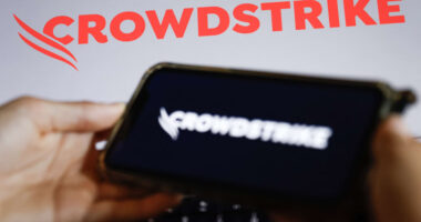CrowdStrike’s stock falls as investors find more reason to pan cybersecurity earnings