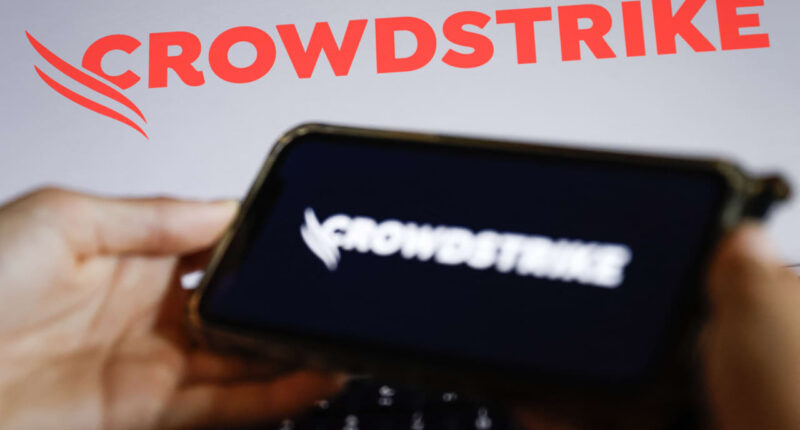 CrowdStrike’s stock falls as investors find more reason to pan cybersecurity earnings