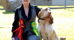 Lynda Cooper, whose gun dog won six awards at the world's largest dog show in 2016, admitted to 11 welfare offences and has been banned from owning dogs for a decade after 77 hounds were found living in serious neglect at her property