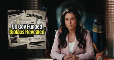 DNI Gabbard Exposes Global Biolab Network, Biden-Era Cover-Up. – The National Pulse