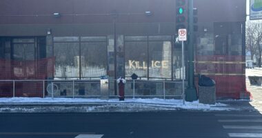 DOJ Charges 15 Militants For Forcefully Obstructing ICE In MN