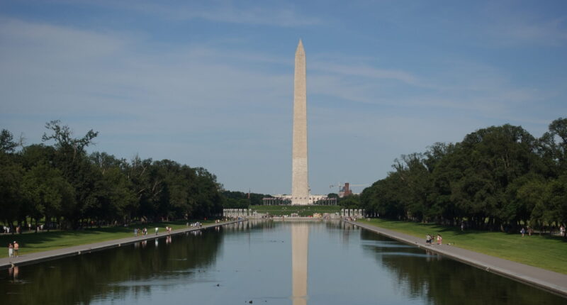 Democrat Donor Charged With Vandalism of DC Reflecting Pool. – The National Pulse