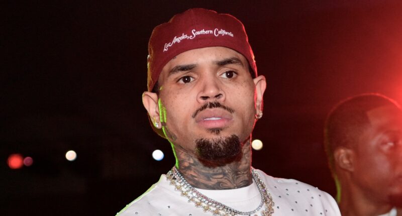 Oop! Diamond Brown Calls Chris Brown An "IG Dad" While Airing OUT Their Alleged Text Messages (PHOTOS)