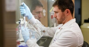 Doctors Celebrate Breakthrough Cancer Treatment with Standing Ovation – HotAir