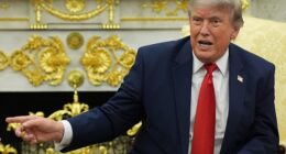 Donald Trump has described Sadiq Khan as a 'horror show' who is 'grossly incompetent' in the latest of a series of barbs directed at the Mayor