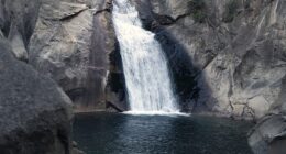 California couple Parth Patel, 30, and his wife, Dharti Patel, 29, drowned while visiting Roaring River Falls (pictured) at Kings Canyon National Park on May 25