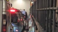 Motorists were forced out of their cars on to the side of the tunnel as they were told to evacuate