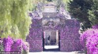 The countdown is on! Dua Lipa and Callum Turner's wedding preparations get underway at Villa Valguarnera as security arrive ahead of the couple's £1million three-day Sicily event