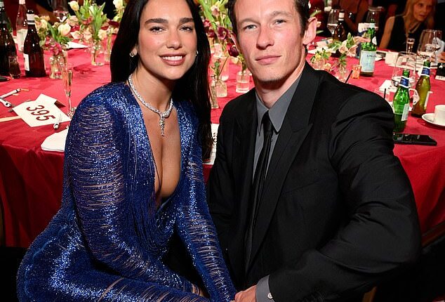 Dua Lipa's fans had their knives out after her husband Callum Turner's rumored ex-girlfriend made what they interpreted to be critical comments about him; the couple seen in March