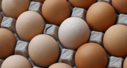 Egg Prices Plunge to Ten-Year Low. – The National Pulse
