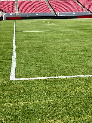 England will begin their batch of pre-World Cup friendlies against New Zealand at the home of the Tampa Bay Buccaneers