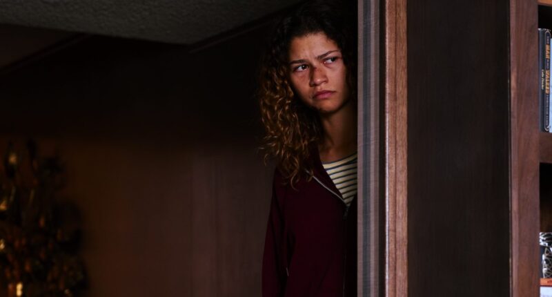 Euphoria: Is Rue Dead? How did She Die?
