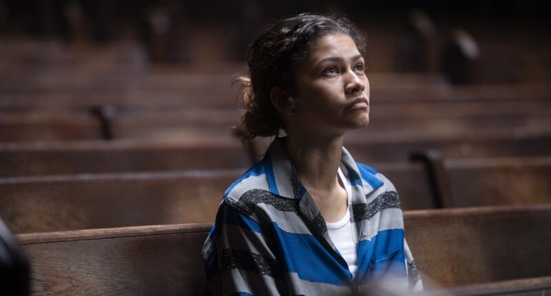 Euphoria Season 4: Why was it Canceled?