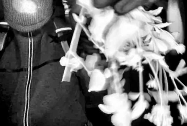 The black-and-white video shows a masked figure wearing gloves tampering with her Nest camera shortly before it was disconnected at 1.47am on February 1