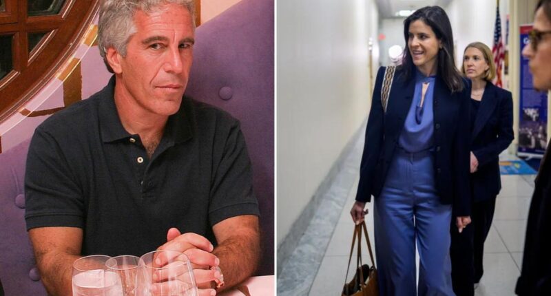 Exclusive | Jeffrey Epstein assistant, Sarah Kellen, planning tell-all book -