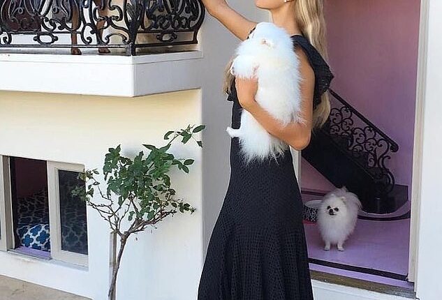 In 2009, Paris Hilton purchased a sprawling two-storey Spanish Colonial style building specifically for her beloved dogs to enjoy