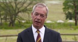 Farage Demands Action Against ‘Anti-White’ Culture After After Henry Nowak’s Murder. – The National Pulse
