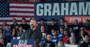 Maine Democratic Senate candidate Graham Platner, who has been hit with several major scandals, is 'a walking red flag,' one veteran Democratic strategist told the Daily Mail