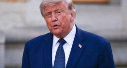 Donald Trump claimed protesters at the Lincoln Memorial Reflecting Pool could face 'years in jail' after being arrested this weekend