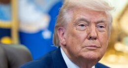 Donald Trump said that the Democrat Party is involved in 'BIG cheating' in California as slow vote counts delay confirmation of nominees for local and state elections