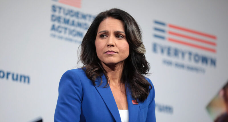 Gabbard Releases Final Docs Linking Fauci, U.S. Funds to Wuhan Lab. – The National Pulse