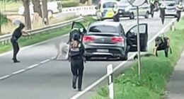 Footage shared by Bild appeared to show the moment two of the people involved were caught fleeing by police
