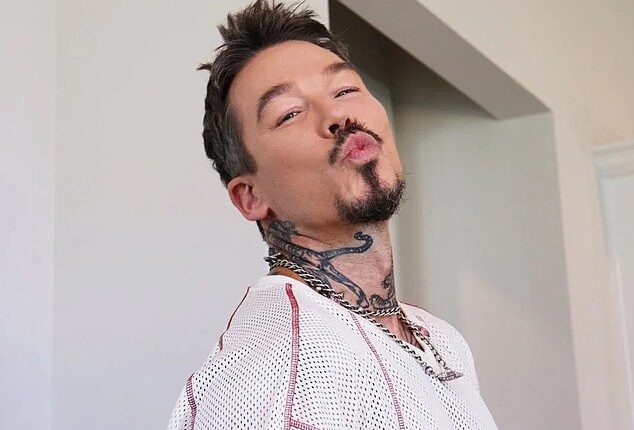 David Bromstad has suggested his Florida home project will be his last in front of the cameras