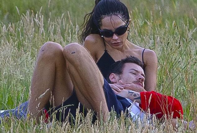 Harry Styles enjoyed a precious few hours off from his record breaking Wembley Stadium residency on Friday with a romantic picnic