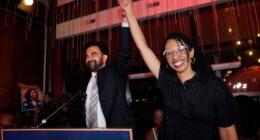 Here's How Extreme the Dems Are Now, in New NY Congressional Nominee's Own Words – RedState