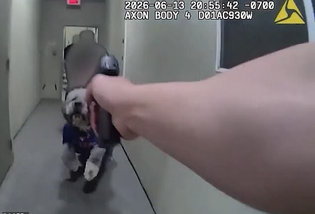 Newly released LAPD bodycam footage shows an officer firing four shots at Jameson, a two-year-old Golden Saint Berdoodle, during a fatal encounter in a Canoga Park apartment hallway