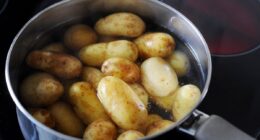 Household food bills ‘risk pressure from degraded soil and climate volatility’