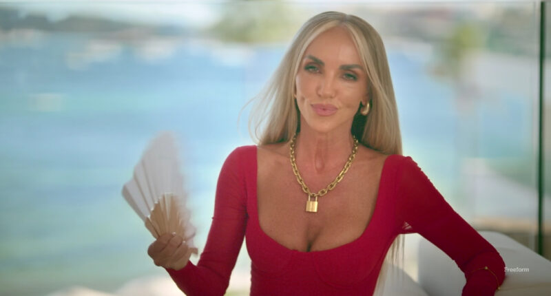 How Rich is the Million Dollar Nannies Star?