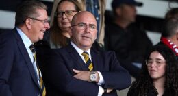 SFA president Mike Mulraney pushed hard for Steve Clarke to get the Scotland job