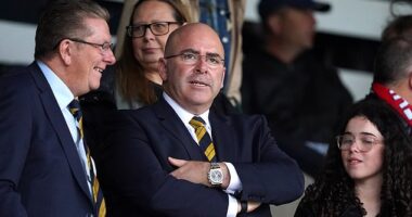 SFA president Mike Mulraney pushed hard for Steve Clarke to get the Scotland job