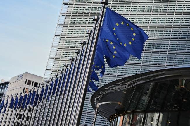 In the Heart of the EU, Minor Student Protest Is Hijacked by Unruly Immigrant 'Youths'