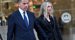 Hunter Biden and his wife Melissa Cohen share baby Beau