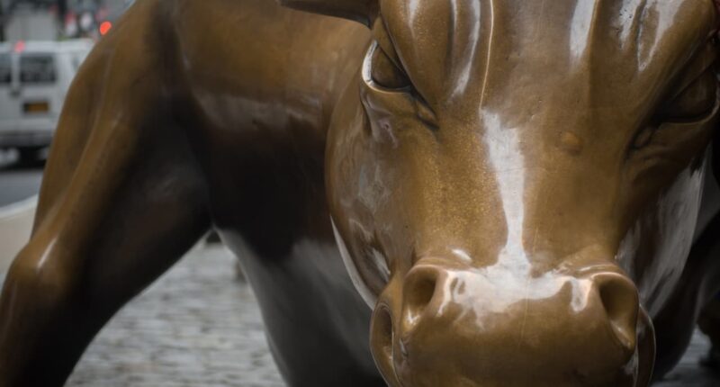 Investors are piling into bullish options bets — another sign that the stock market is getting overheated