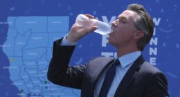 Iranian Hackers Take Credit for Cyber Attack Targeting Bakersfield, Visalia, Chico Water Utilities – RedState