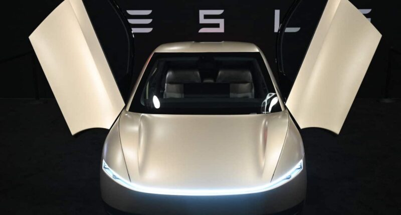 Is Tesla succeeding in AI? Watch this for a clue.