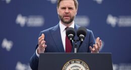 Vice President JD Vance penned a scathing statement slamming 'European elites' and 'the mass invasion of migrants' for the horrific death of UK teenager Henry Nowak