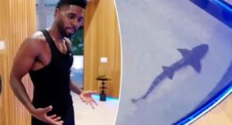 Jason Derulo faces backlash over $1M shark tank in his California home