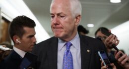 John Cornyn Casts Shade at Americans Supporting the SAVE America Act—and It Boomerangs on Him – RedState