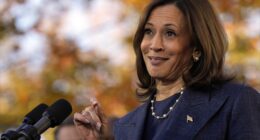 Kamala's New Comment About Trump, 'Accountability' Has Eyebrows Going Up
