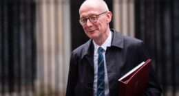 Labour split as minister Pat McFadden criticises party’s attempts to reform welfare