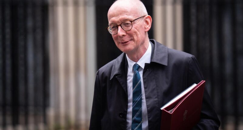 Labour split as minister Pat McFadden criticises party’s attempts to reform welfare