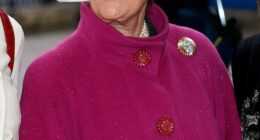 Lady Pamela Hicks, pictured at a service of thanksgiving to celebrate Queen Elizabeth II and Prince Philip's diamond wedding anniversary at Westminster Abbey on November 19, 2007